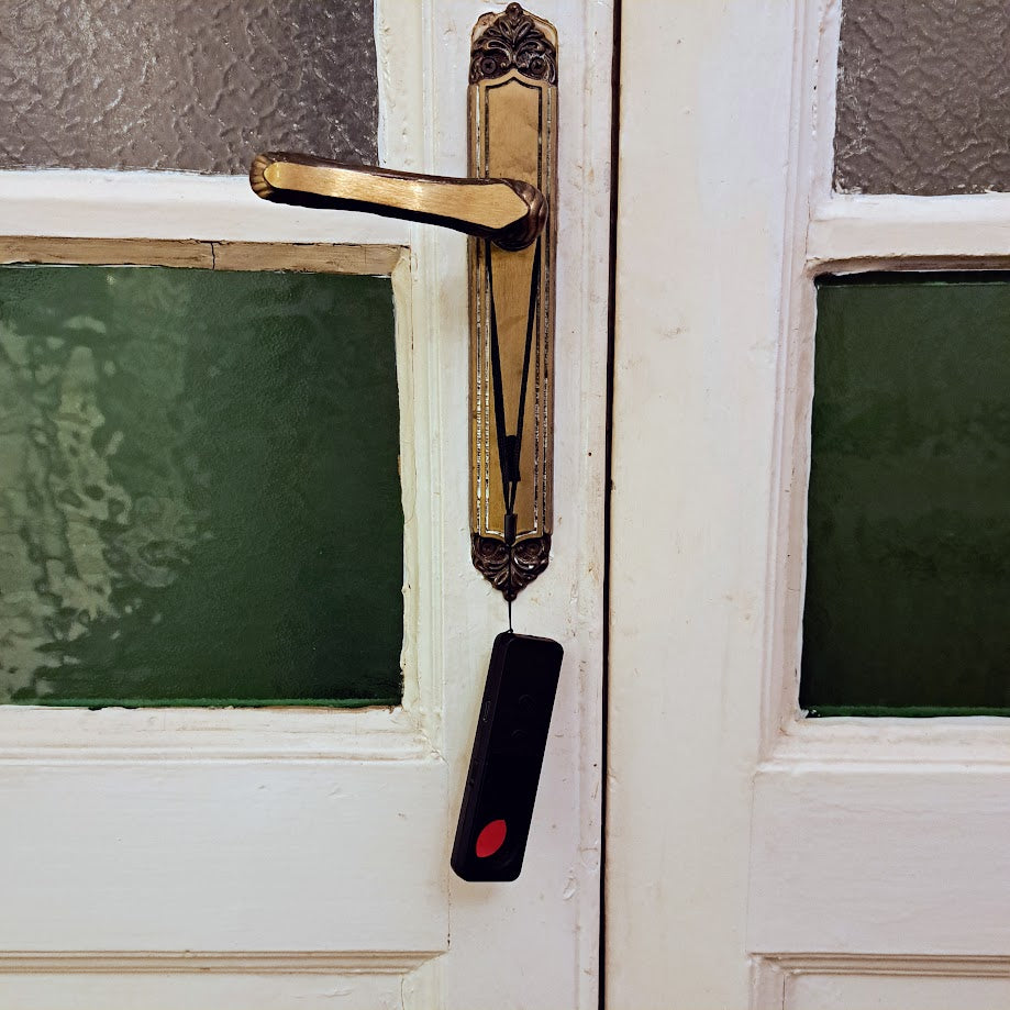 Rilevatore Microspie e gps per auto, casa, ufficio Telecamere e Segnali Wireless professionale e tascabile con doppio allarme e torcia a led (T4)